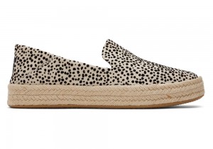 Espadryle Damskie Toms Carolina Mini Cheetah Panterka | 4570DSRPJ