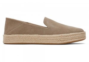 Espadryle Damskie Toms Carolina Taupe Zamszowe Srebrne | 1362KREDM