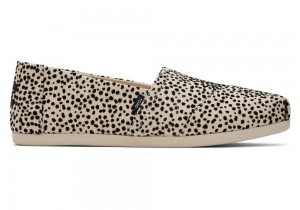 Espadryle Damskie Toms Mini Cheetah Panterka | 1496ZFAMV