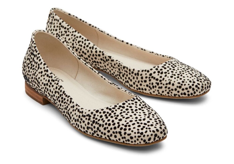 Buty Płaskie Damskie Toms Briella Mini Cheetah Print Panterka | 0145CEROV