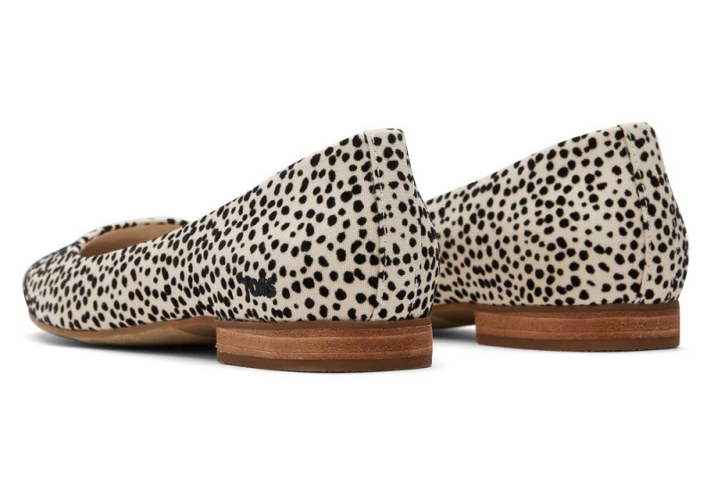 Buty Płaskie Damskie Toms Briella Mini Cheetah Print Panterka | 0145CEROV