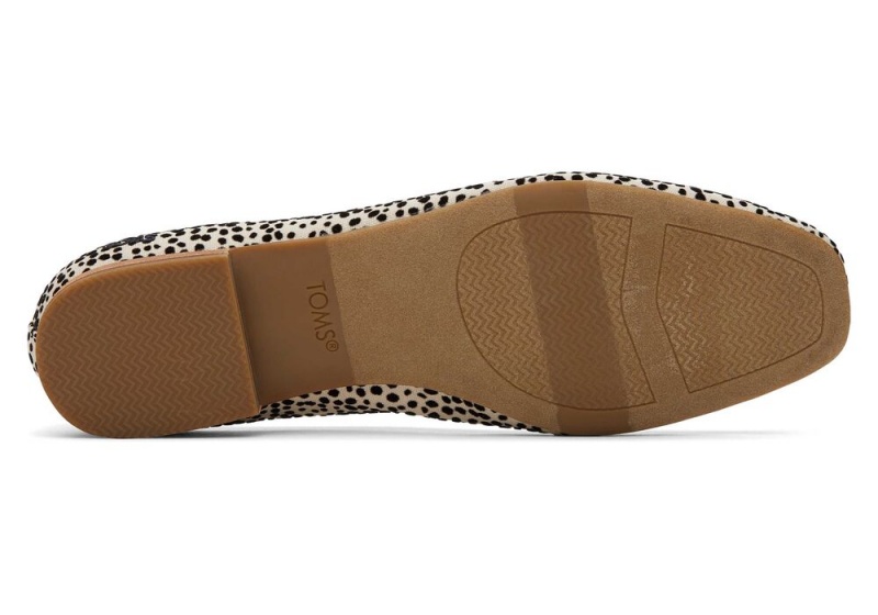 Buty Płaskie Damskie Toms Briella Mini Cheetah Print Panterka | 0145CEROV