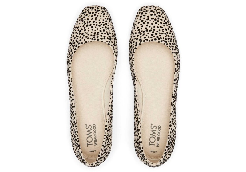 Buty Płaskie Damskie Toms Briella Mini Cheetah Print Panterka | 0145CEROV