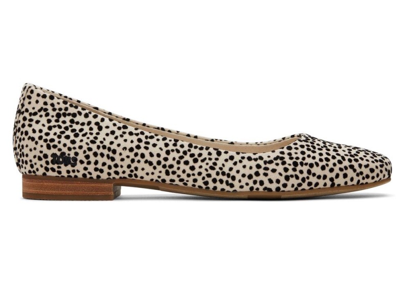 Buty Płaskie Damskie Toms Briella Mini Cheetah Print Panterka | 0145CEROV