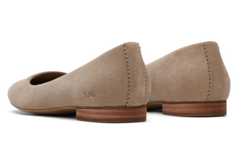 Buty Płaskie Damskie Toms Briella Taupe Zamszowe Srebrne | 2378QBNFX