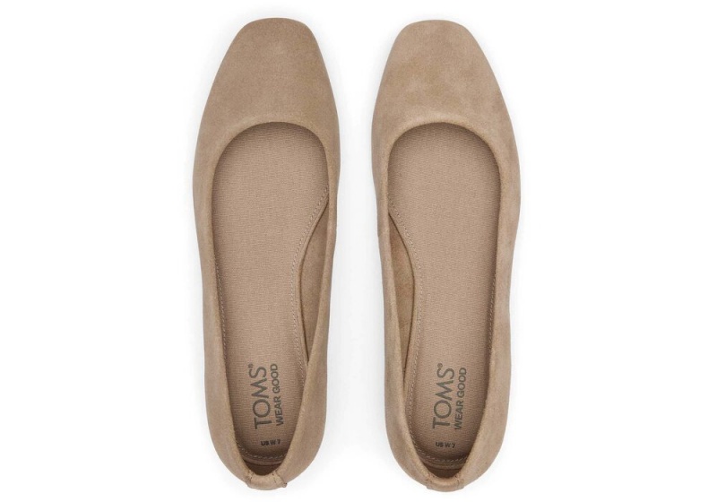 Buty Płaskie Damskie Toms Briella Taupe Zamszowe Srebrne | 2378QBNFX