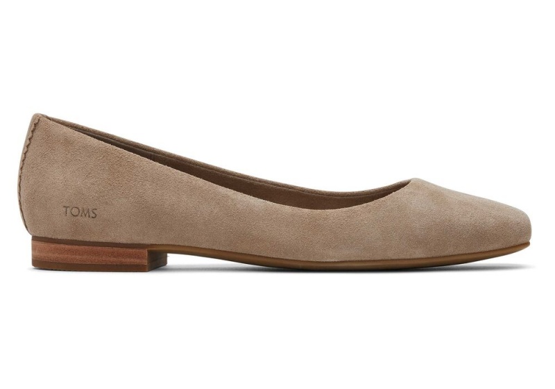 Buty Płaskie Damskie Toms Briella Taupe Zamszowe Srebrne | 2378QBNFX