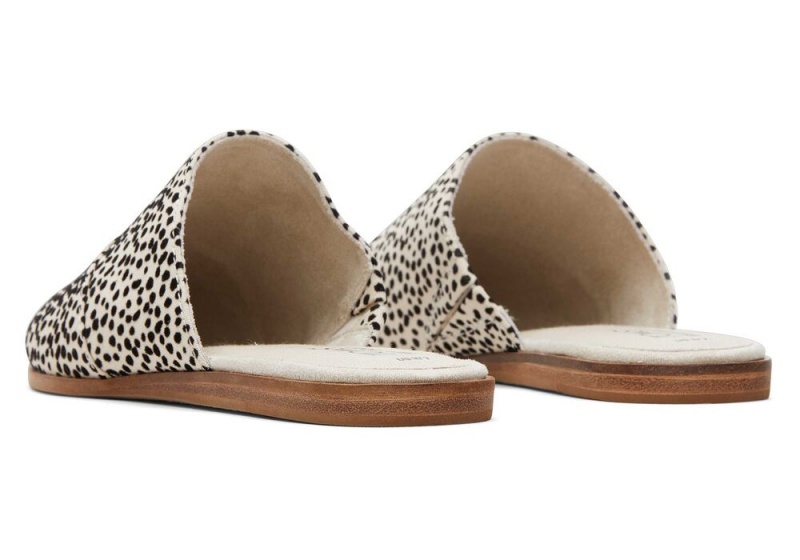 Buty Płaskie Damskie Toms Jade Mini Cheetah Print Panterka | 4629RMCEA