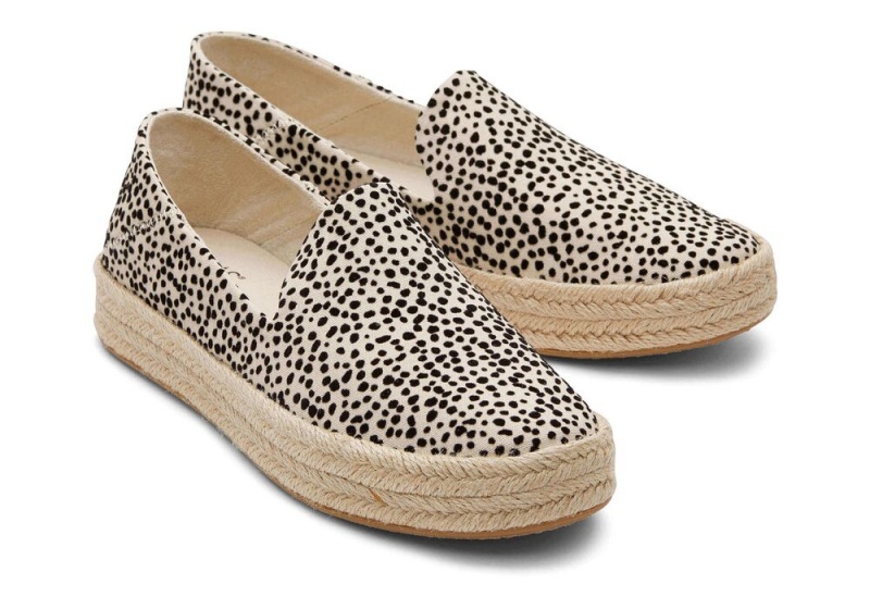 Espadryle Damskie Toms Carolina Mini Cheetah Panterka | 4570DSRPJ