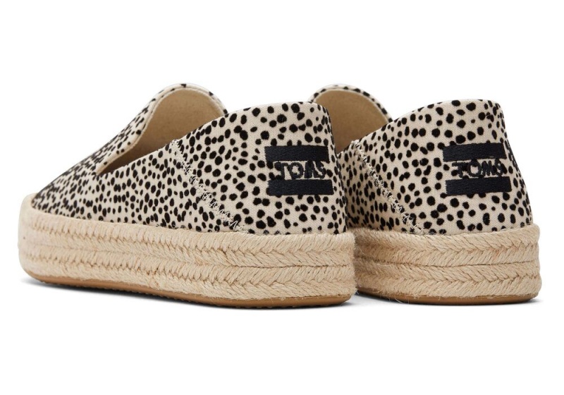 Espadryle Damskie Toms Carolina Mini Cheetah Panterka | 4570DSRPJ