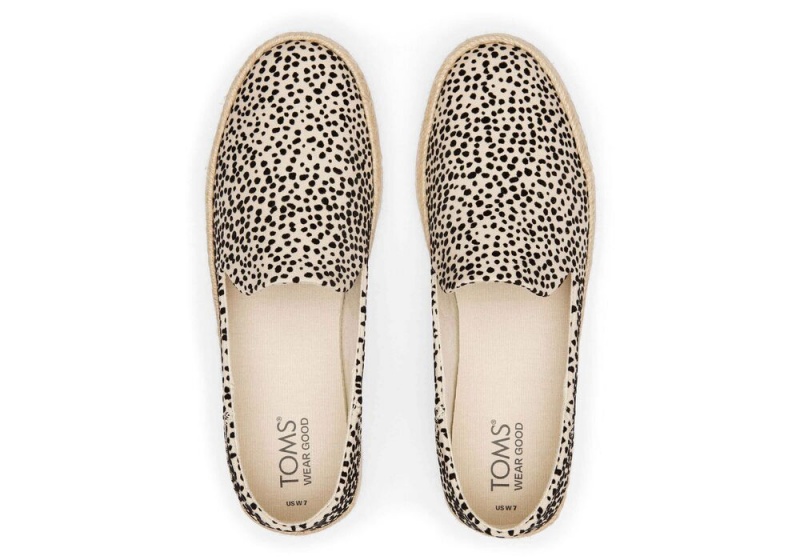 Espadryle Damskie Toms Carolina Mini Cheetah Panterka | 4570DSRPJ