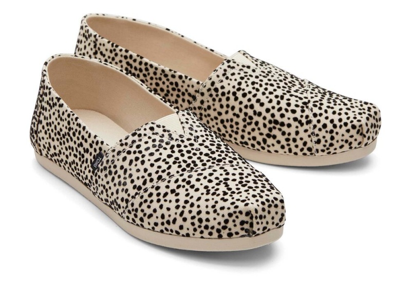 Espadryle Damskie Toms Mini Cheetah Panterka | 1496ZFAMV