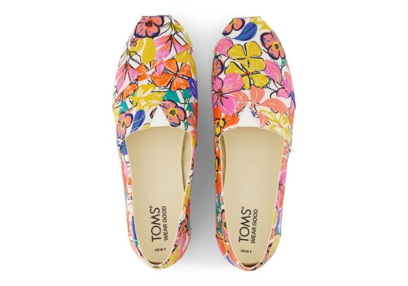 Espadryle Damskie Toms Painted Floral Kolorowe | 1920XRDOJ