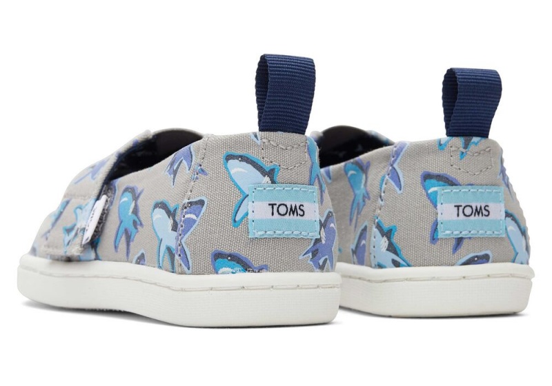 Espadryle Dziecięce Toms Great Sharks Toddler Shoe Białe | 8791ZKUHY