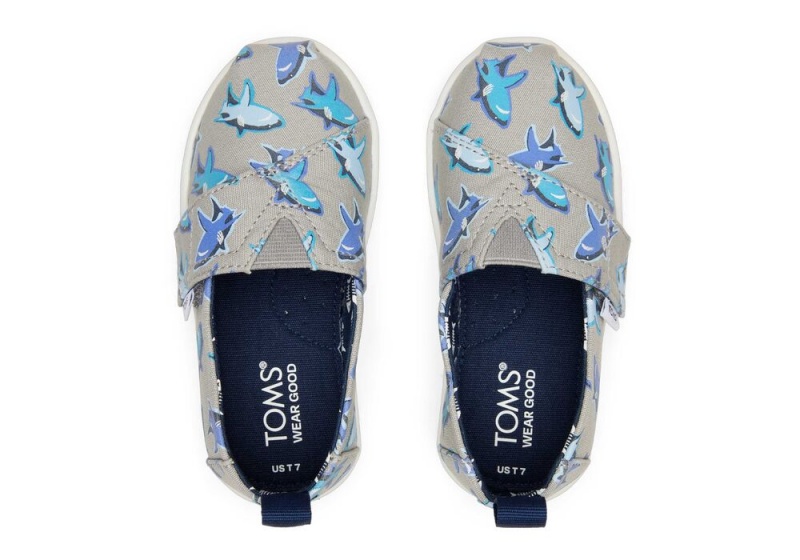 Espadryle Dziecięce Toms Great Sharks Toddler Shoe Białe | 8791ZKUHY