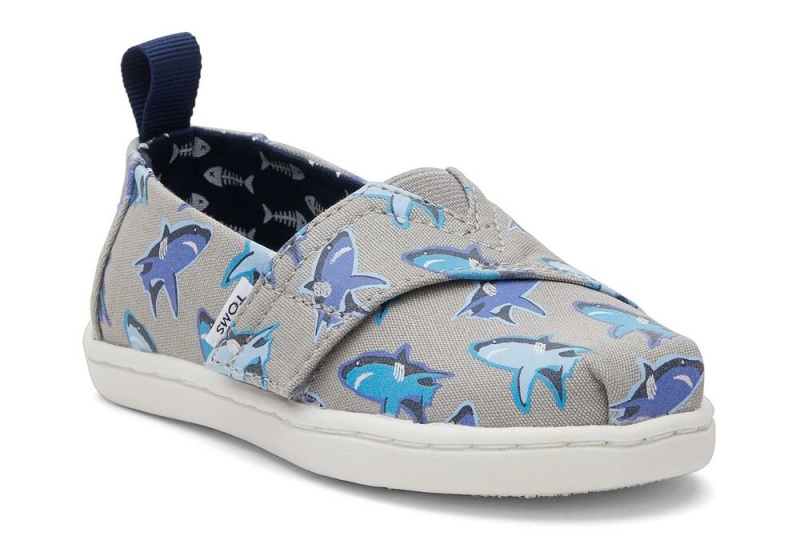 Espadryle Dziecięce Toms Great Sharks Toddler Shoe Białe | 8791ZKUHY