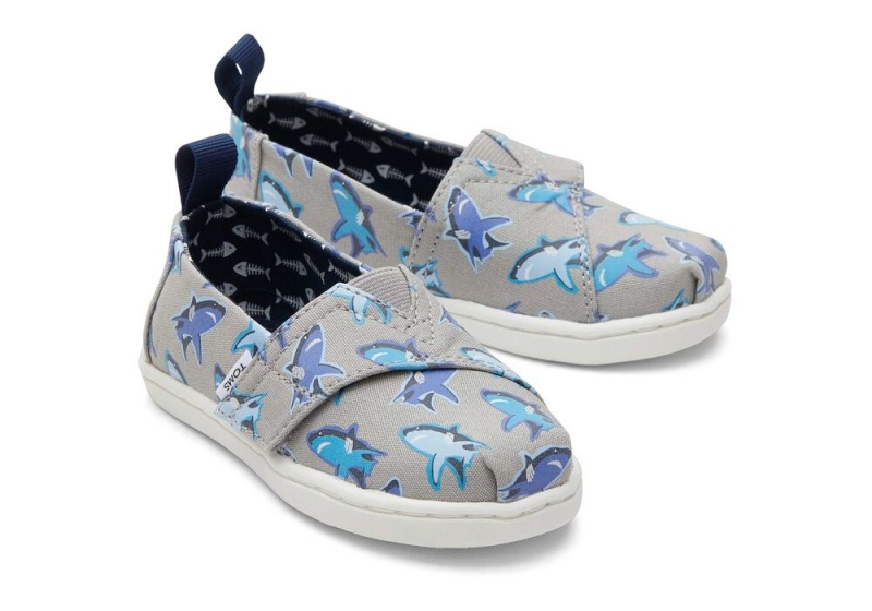 Espadryle Dziecięce Toms Great Sharks Toddler Shoe Białe | 8791ZKUHY