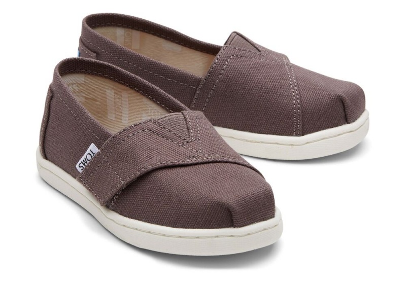 Espadryle Dziecięce Toms Płócienne Toddler Shoe Szare | 4198COTGS