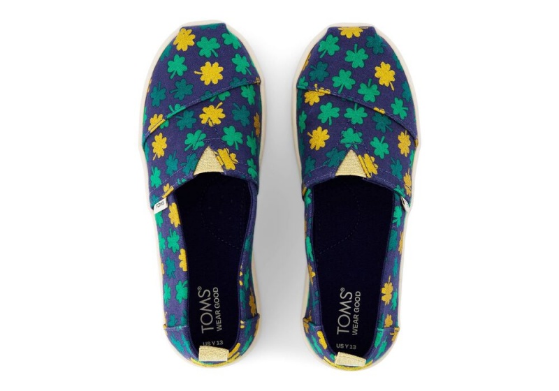 Espadryle Dziecięce Toms Youth Lucky Shimmer Clovers Kids Shoe Kwiaty | 2386UMKXR