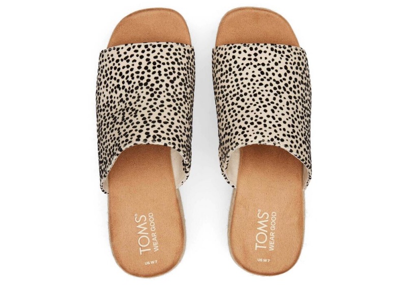 Sandały na Platformie Damskie Toms Laila Mule Mini Cheetah Panterka | 2164VIZKS