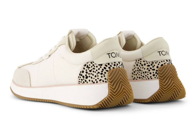 Trampki Damskie Toms Wyndon Mini Cheetah Jogger Panterka | 0485TZJGU