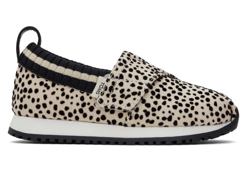 Trampki Dziecięce Toms Resident Mini Cheetah Toddler Panterka | 4015SFYZC