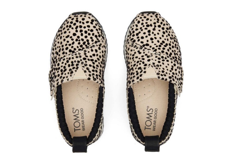 Trampki Dziecięce Toms Resident Mini Cheetah Toddler Panterka | 4015SFYZC