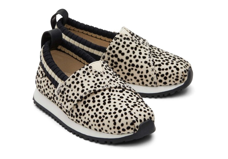 Trampki Dziecięce Toms Resident Mini Cheetah Toddler Panterka | 4015SFYZC