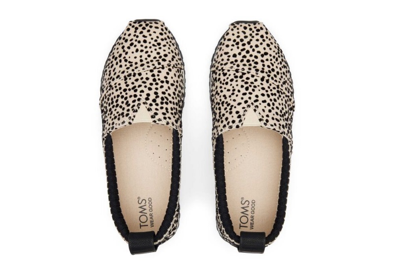 Trampki Dziecięce Toms Youth Resident Mini Cheetah Kids Panterka | 3614SVJOU