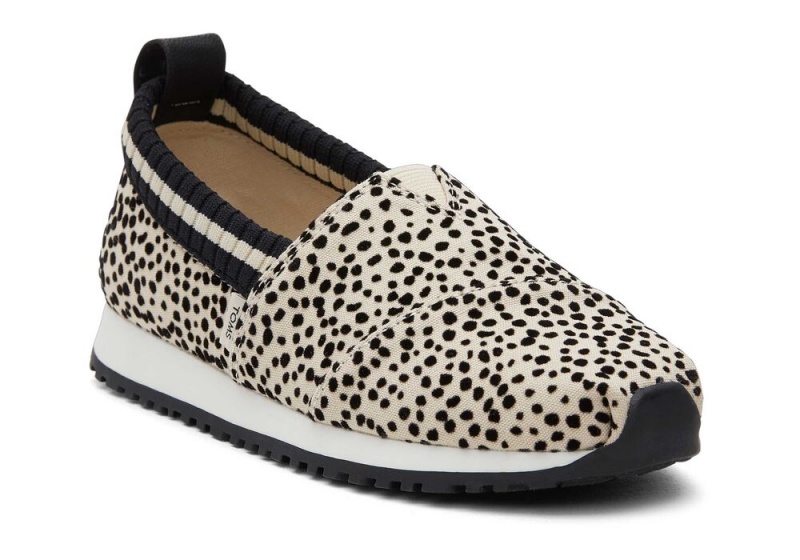 Trampki Dziecięce Toms Youth Resident Mini Cheetah Kids Panterka | 3614SVJOU